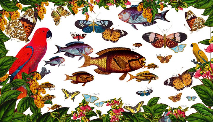 Abertura do Darwin’s Café