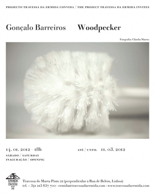 “Woodpecker” de Gonçalo Barreiros